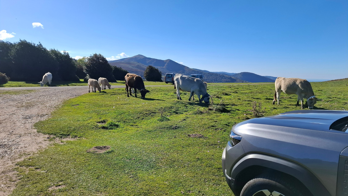 Vue panoramique près de Ganac